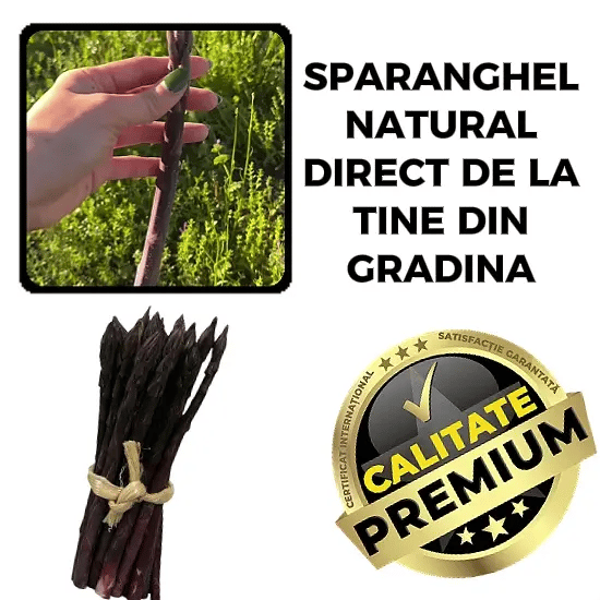 Sparanghel de Casă – SparaMAX™