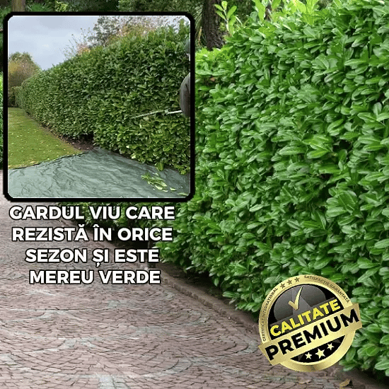 Gard Viu și Verde Tot Anul - GreenWall™