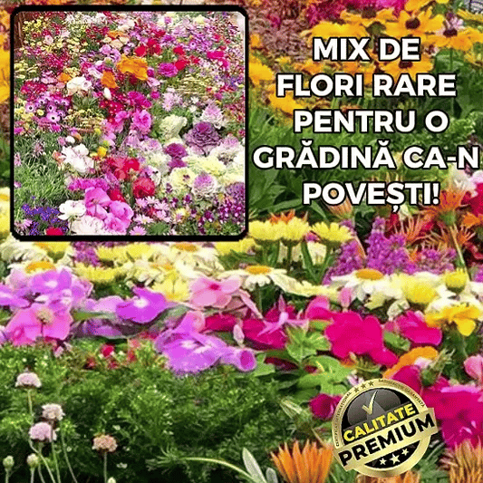 Mix de Semințe: Flori Rare și Multicolore - FlowerMix™