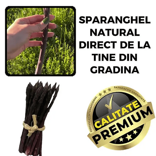 Sparanghel de Casă – SparaMAX™