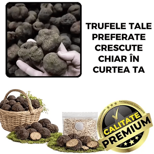 Miceliu de Trufe pentru Grădină - TrufaGrow™